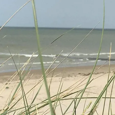 Luxe Vakantiechalet Met Omheinde Tuin 6pers