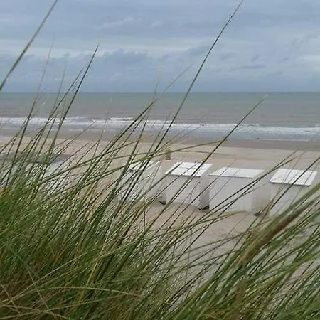 Tatil Evi Luxe Vakantiechalet Met Omheinde Tuin 6pers Bredene